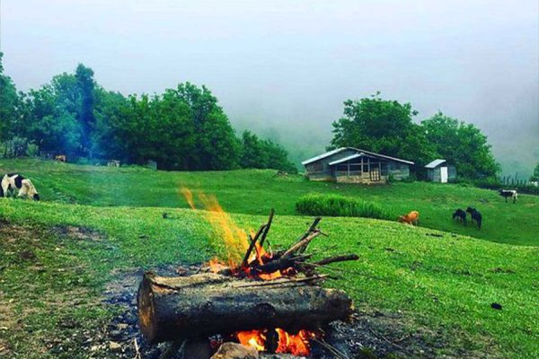 جنگل های گیلان ۵